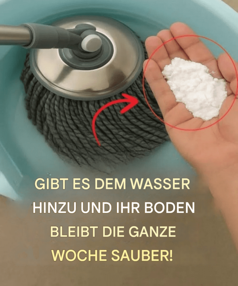 355e0d55 cfaa 486a 8589 3534871dd20b 768x922