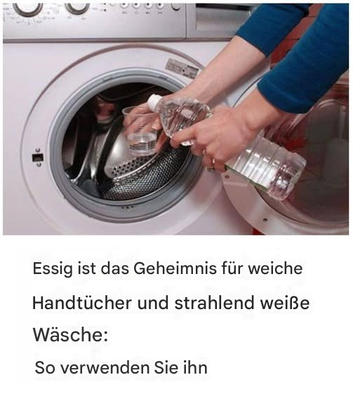 3a4661d7 4e8c 4886 90b2 d646ff72f2f7